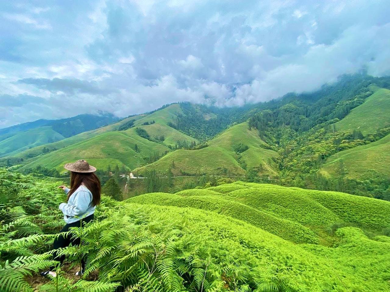 Highland grasslands
